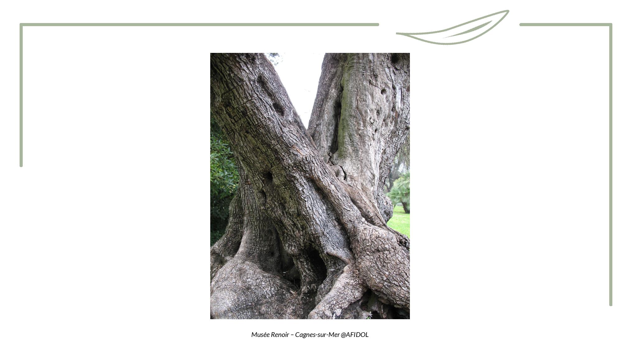 Toucher - Tronc-page-002