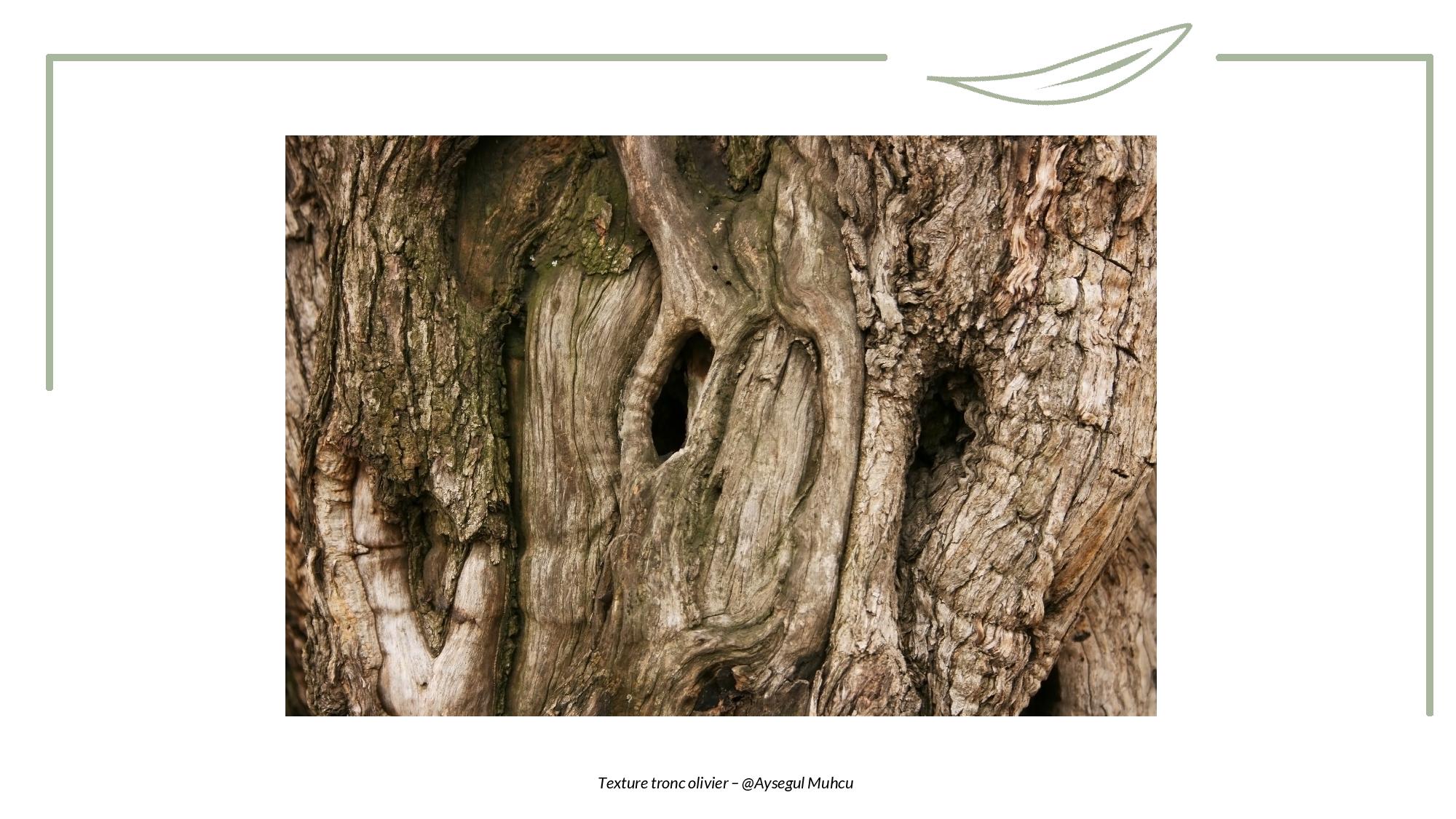 Toucher - Tronc-page-003