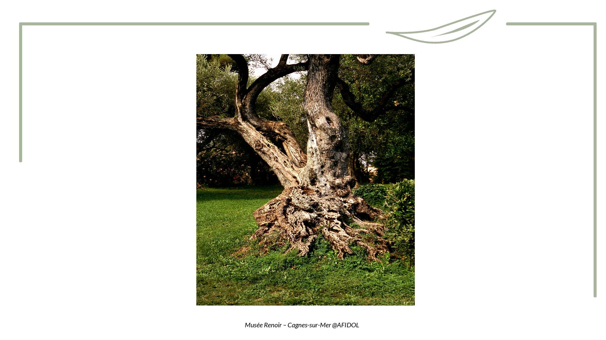 Toucher - Tronc-page-005