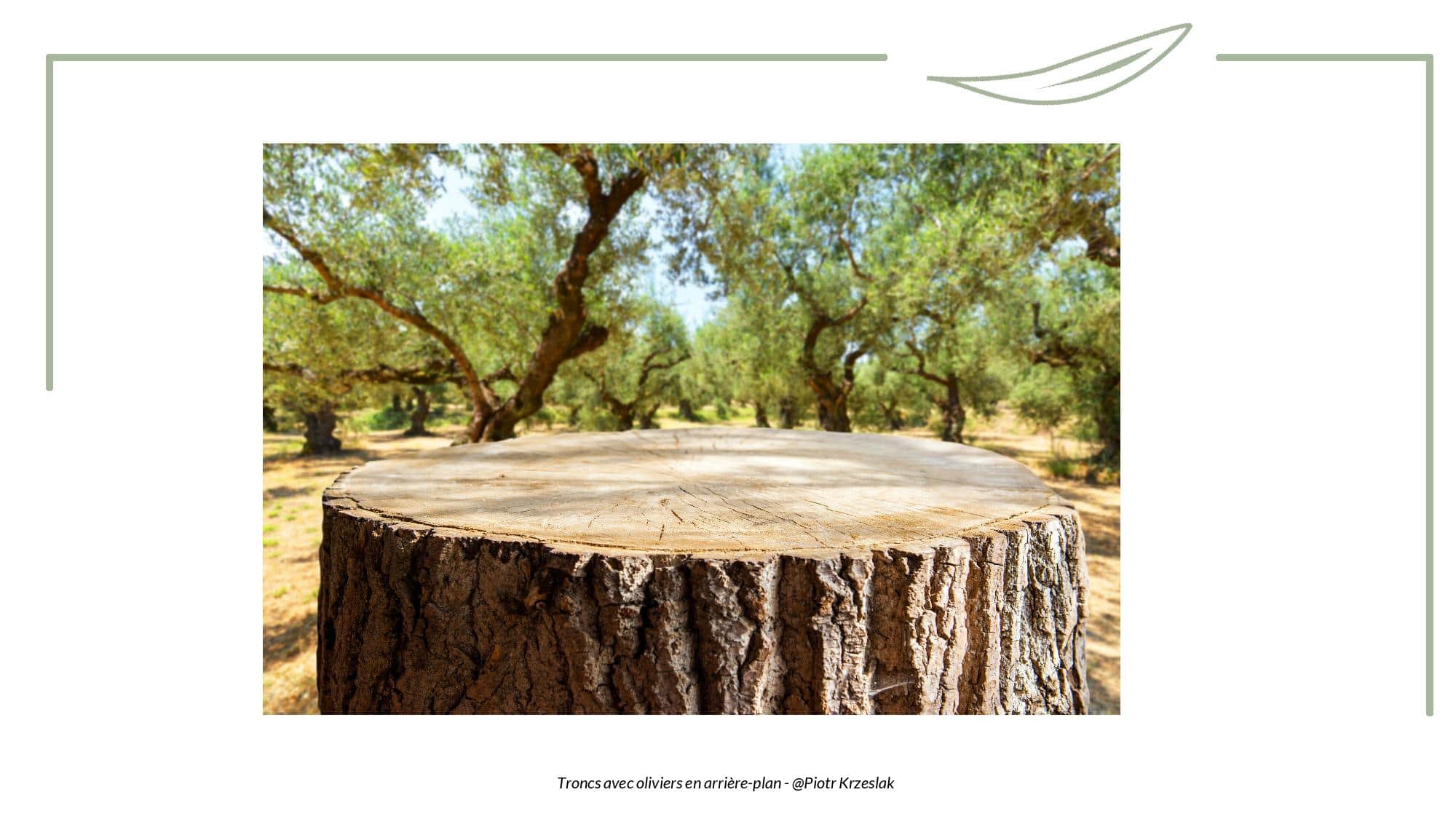 Toucher - Tronc-page-009