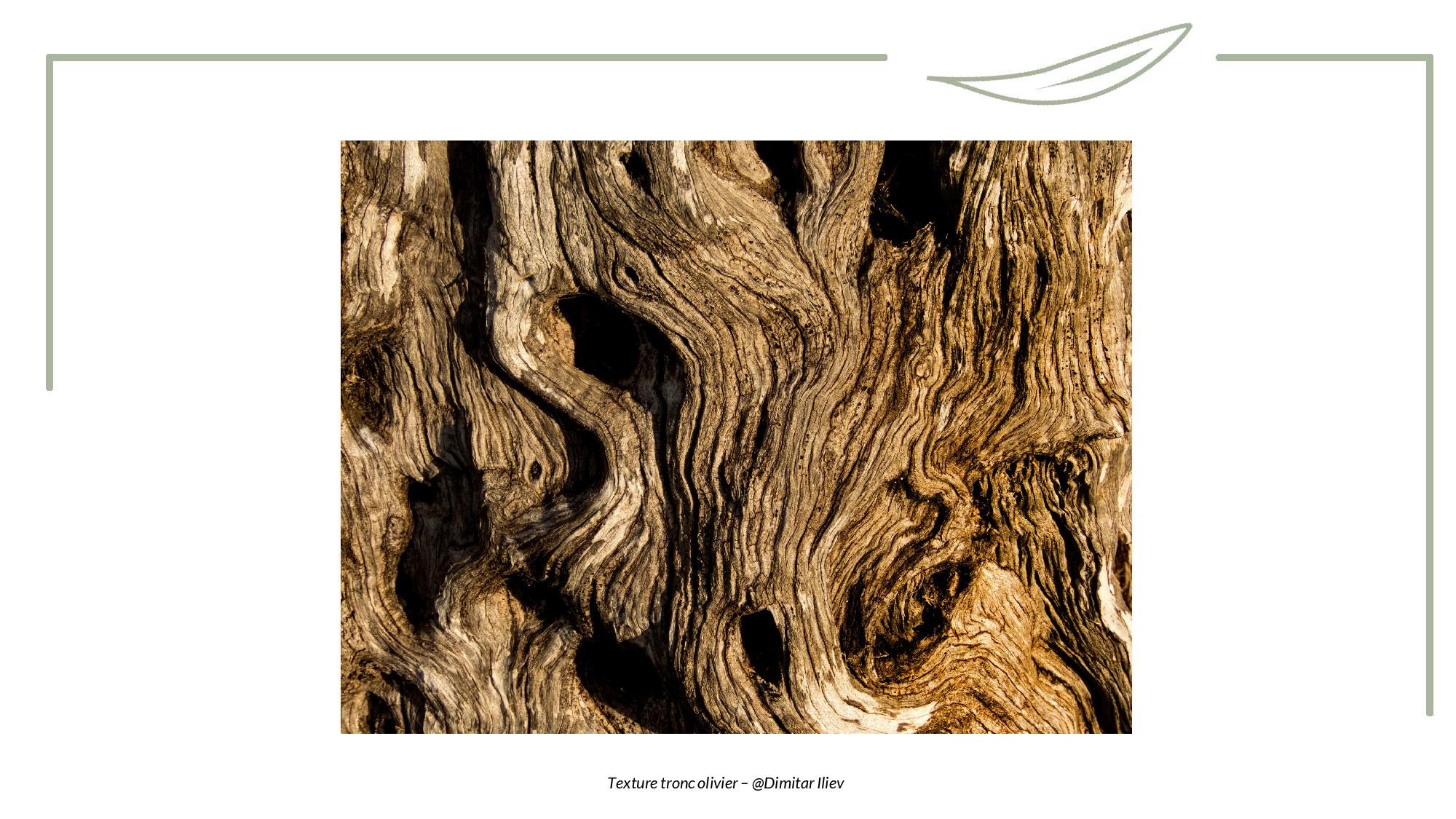 Toucher - Tronc-page-010