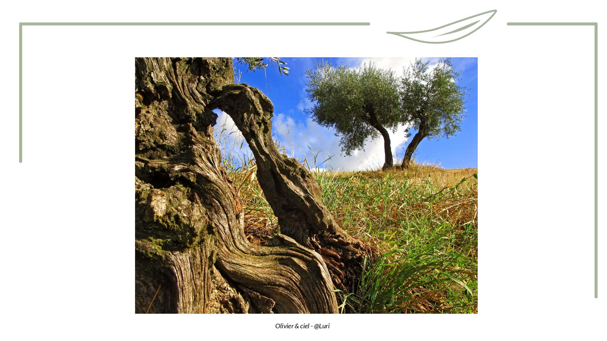 Toucher - Tronc-page-011