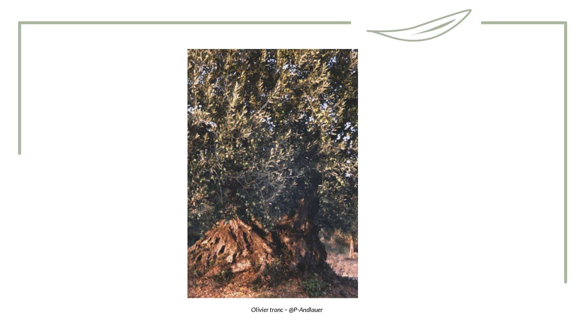 Toucher - Tronc-page-012