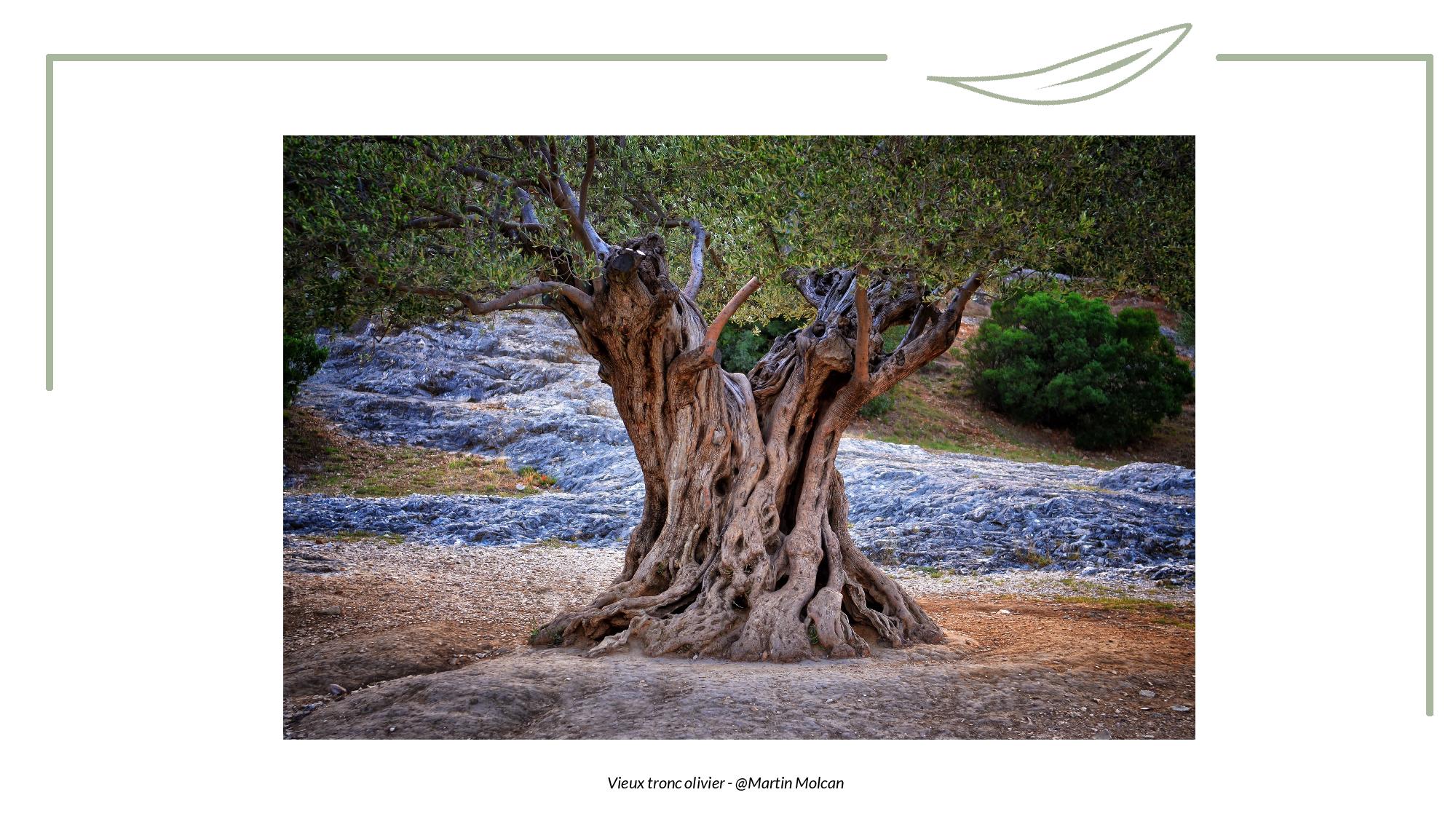 Toucher - Tronc-page-014